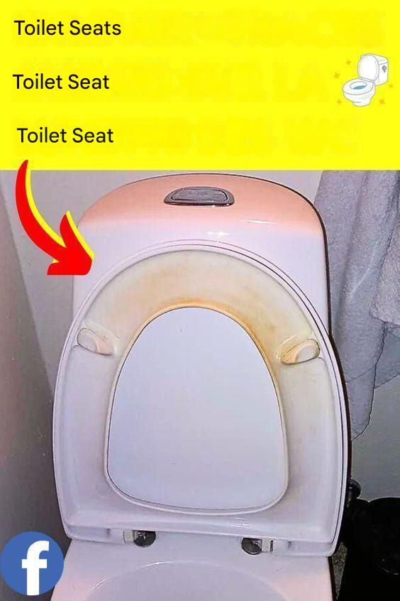 2befa6a1 2f7a 4a36 Ab1c D40c126953c8