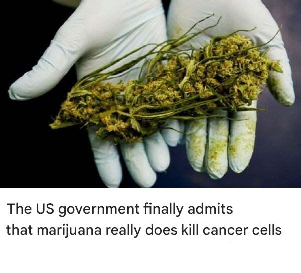 3ebae354 Fa3c 4032 B2bb 396b8f068668 (1)