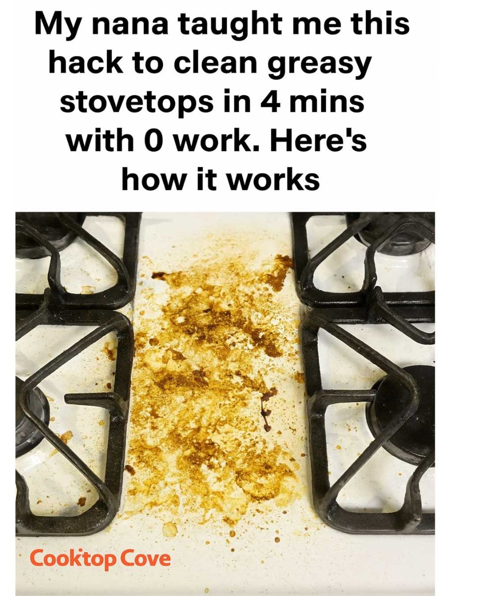 514276409 1205611824943529 363382478625232177 N