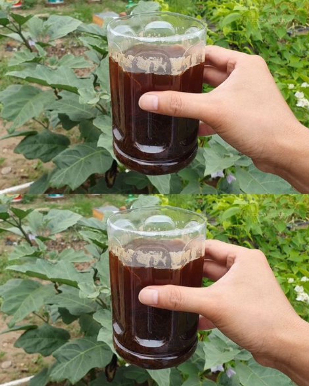 537438902 122202919070093586 6562576504291767340 N