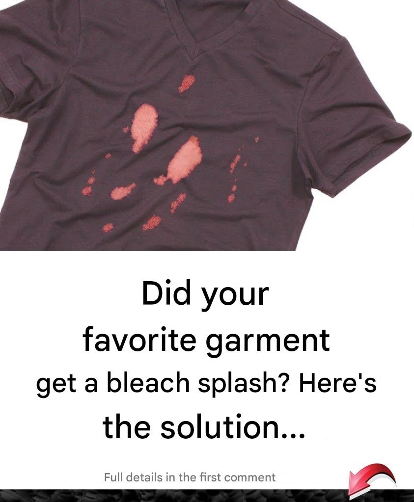 539597686 122140057610821760 5217951325208381129 N