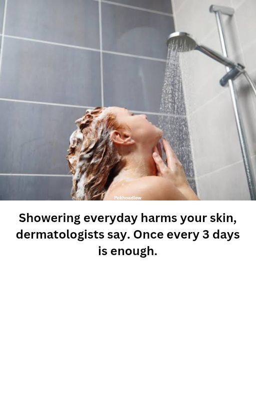 540451167 1783990622492656 6555230312418238899 N