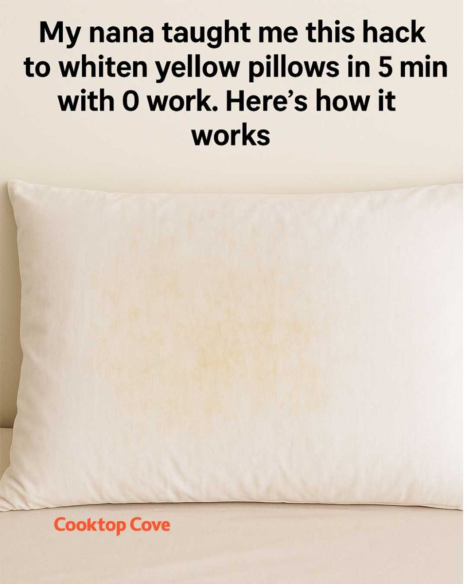 918bda5e25bf8caaa8e19721c5a48cfa