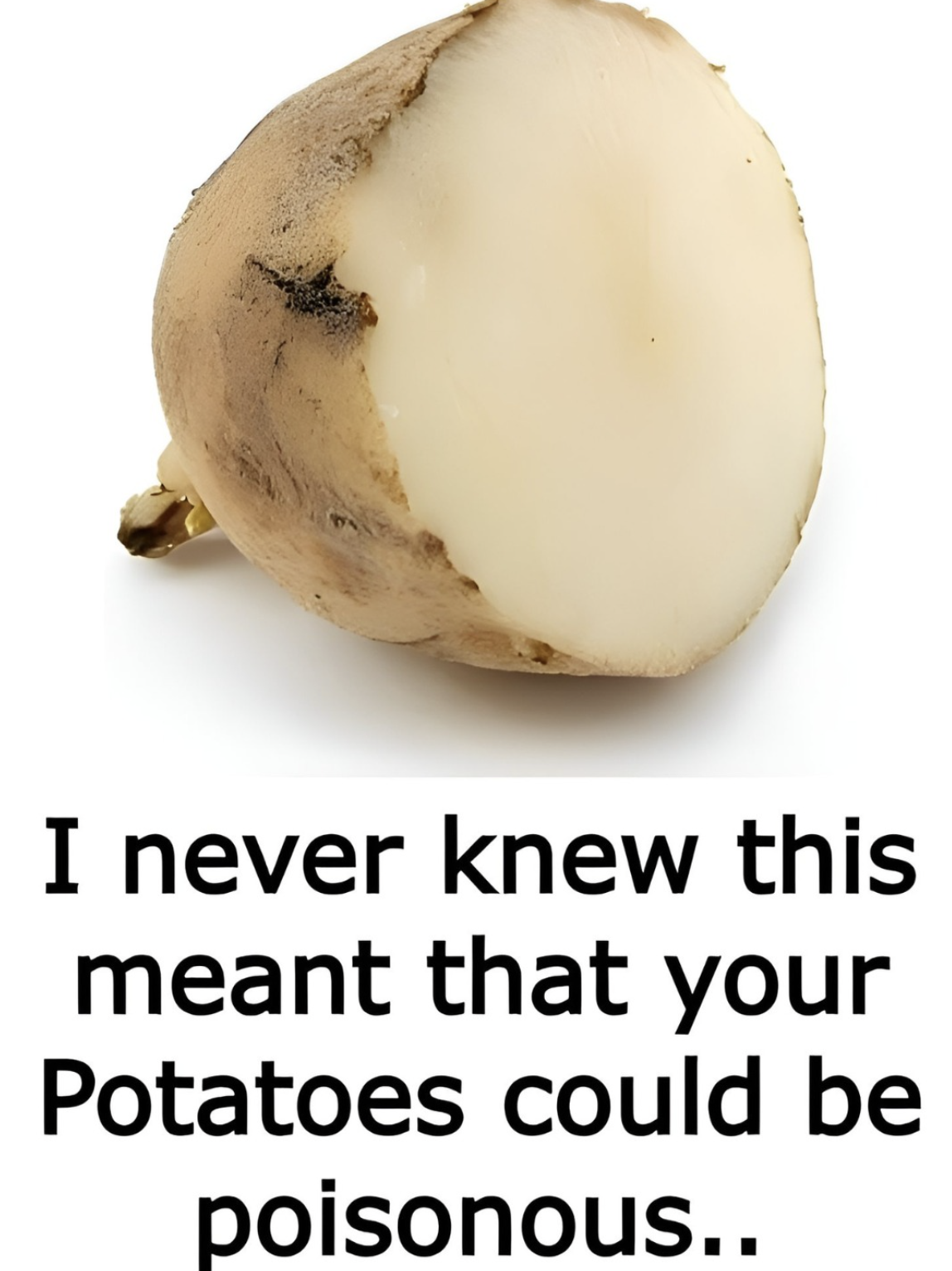 Screenshot 2025 08 27 005836