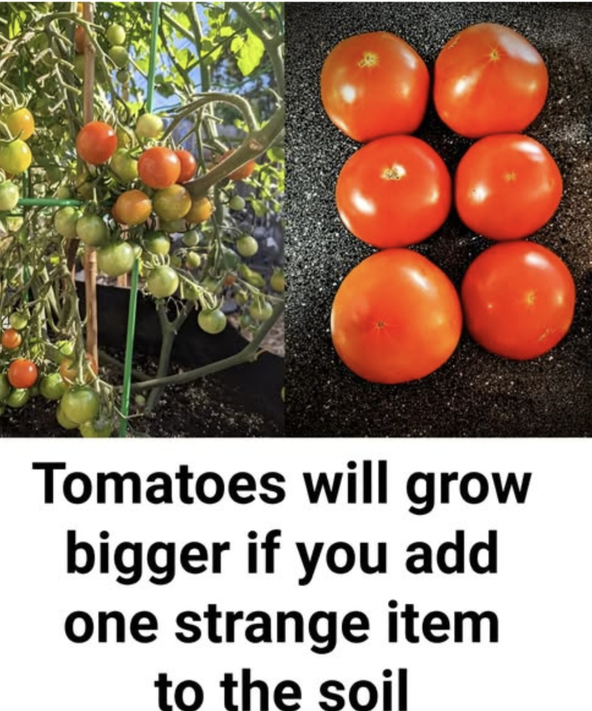 Screenshot 2025 08 28 152550