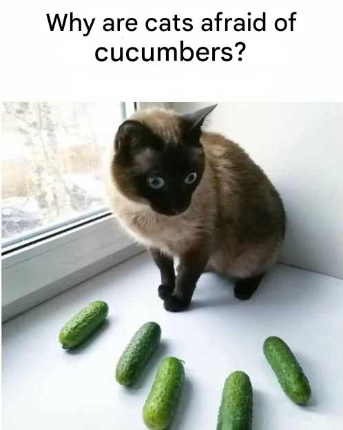 Ae76f755 Fcba 4fca 882e E06306ba54a7