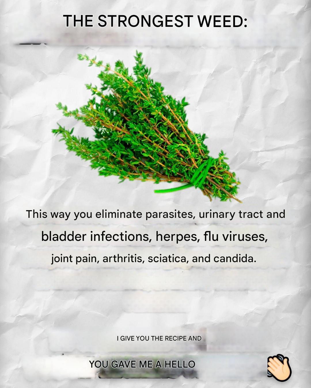 E7c7c59e Ea95 47ed A535 D191de1be92d