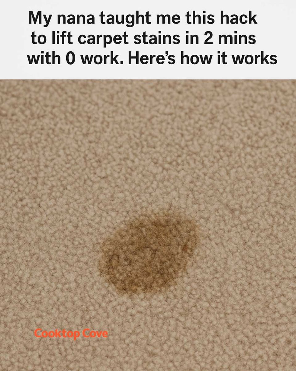 Ecb271b1f3a815c63819c98d8e96eb9b